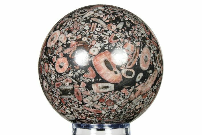 Fossil Crinoid Stems In Limestone Sphere #279664